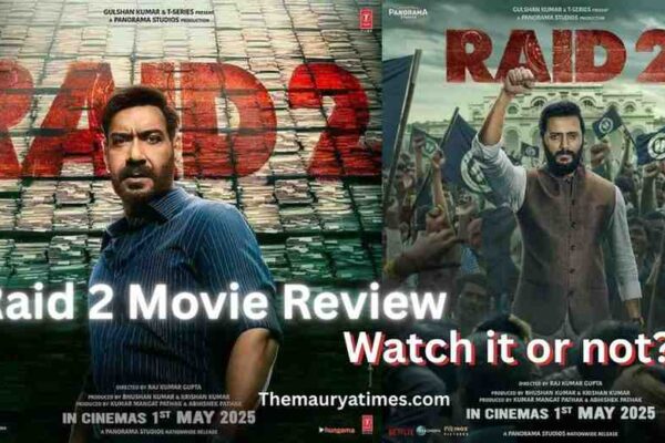 Raid 2 movie review